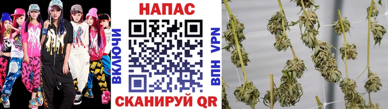 Шишки марихуана гибрид  Купить  Алзамай 